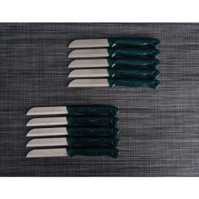 Solingen Simli Yeşil 10 Adet Meyve Bıçağı