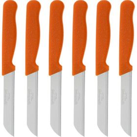 Solingen Turuncu Simli 6'lı Meyve Bıçağı