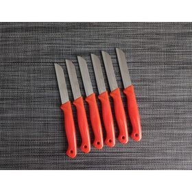 Solingen Turuncu Simli 6'lı Meyve Bıçağı
