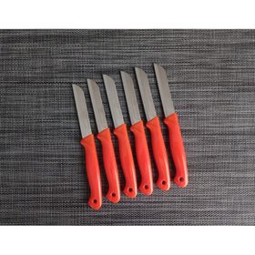 Solingen Turuncu Simli 6'lı Meyve Bıçağı
