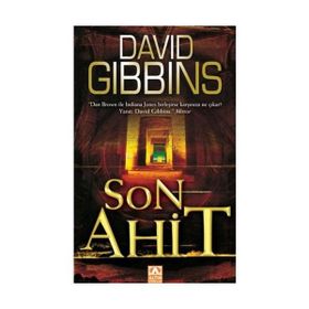 SON AHIT - DAVID GIBBINS