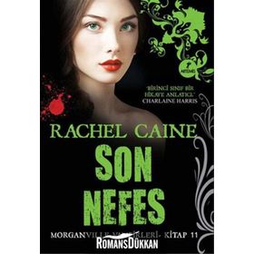 SON NEFES - RACHEL CAINE