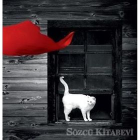 Son Resim - Gökhan Uğur