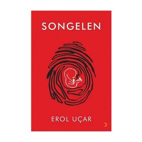 Songelen - Erol Uçar