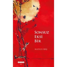 Sonsuz Eksi Bir - Hatice İbiş