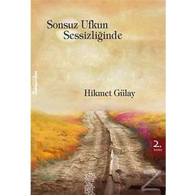 Sonsuz Ufkun Sessizliğinde - Hikmet Gülay