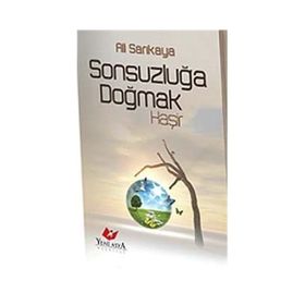 Sonsuzluğa Doğmak - Ali Sarıkaya