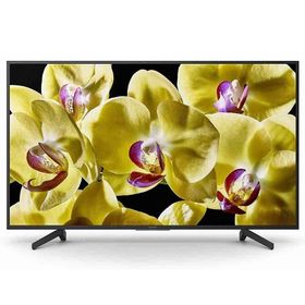 Sony KD-49XG8196 49