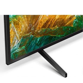 Sony KD-55XH8196 LED TV