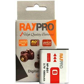 Sony NP-BG1 Pil