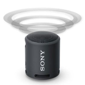 Sony SRSXB13B Extra Bass IP67 Siyah Taşınabilir Kablosuz Bluetooth Hoparlör