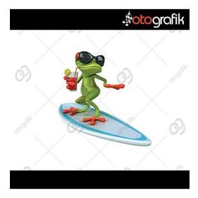 Sörfçü Kurbağa Oto Sticker