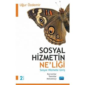 Sosyal Hizmetin Neliği Sosyal Hizmete Giriş - Uğur Özdemir