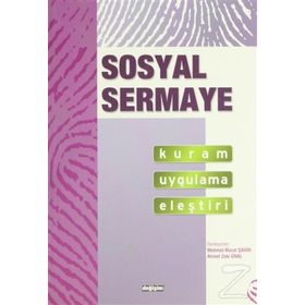 Sosyal Sermaye Kuram Uygulama Eleştiri - Kolektif