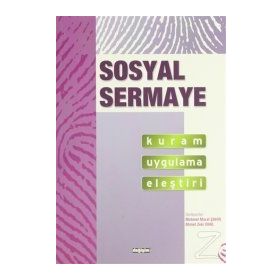 Sosyal Sermaye Kuram Uygulama Eleştiri - Kolektif