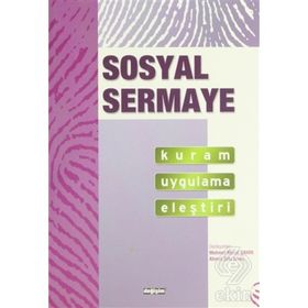 Sosyal Sermaye Kuram Uygulama Eleştiri - Kolektif