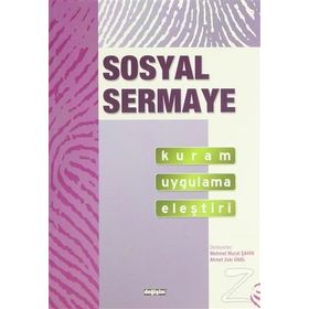 Sosyal Sermaye Kuram Uygulama Eleştiri - Kolektif