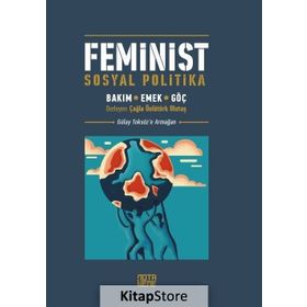 SOSYALIST FEMINIST PROJE CILT: 1 TEORI VE POLİTİKANIN GÜNÜMÜZ OKUMASI - NANCY HOLMSTORM