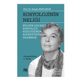 Sosyolojinin Neliği - Sezgin Kızılçelik