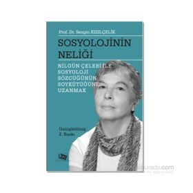Sosyolojinin Neliği - Sezgin Kızılçelik