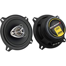 Soundmax SX - C503 13 CM 300 Watt Profesyonel Hoparlör