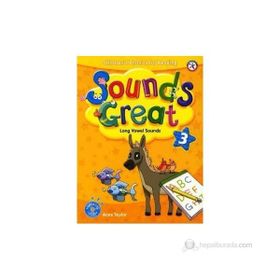 SOUNDS GREAT 3 +2 HYBRIDE CDS - ANNE TAYLOR