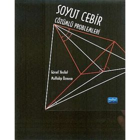 SOYUT CEBIR ÇÖZÜMLÜ PROBLEMLERI - GÜRSEL YEŞİLOT