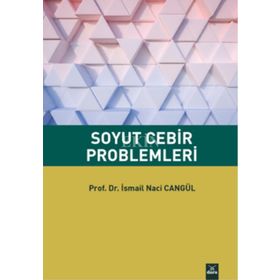 SOYUT CEBIR PROBLEMLERI - NEŞET AYDIN