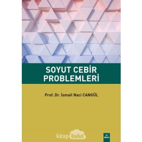 SOYUT CEBIR PROBLEMLERI - NEŞET AYDIN