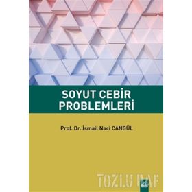 SOYUT CEBIR PROBLEMLERI - NEŞET AYDIN