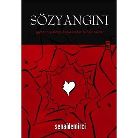 SÖZ YANGINI - SENAI DEMIRCI