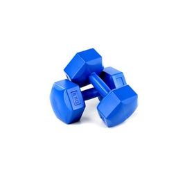 Spin CS-567 Mavi 4 Kg X 2 Adet Plastik Dambıl