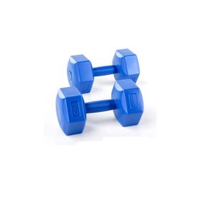 Spin CS-567 Mavi 4 Kg X 2 Adet Plastik Dambıl