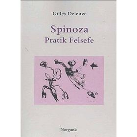 SPINOZA PRATIK FELSEFE - GENEL