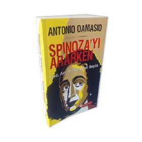 Spinoza'yı Ararken - Murat Sezgin Yalçın