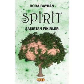 Spirit Şaşırtan Fikirler - Bora Baykan