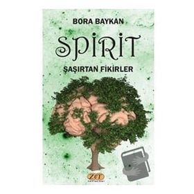 Spirit Şaşırtan Fikirler - Bora Baykan
