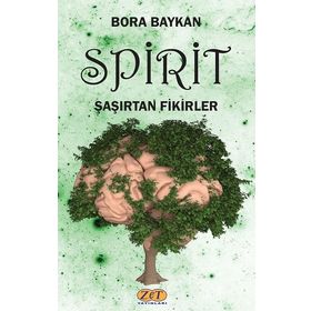 Spirit Şaşırtan Fikirler - Bora Baykan