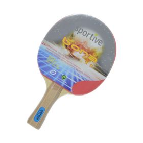 Sportive Bora 2 Yıldız Masa Tenisi Raketi