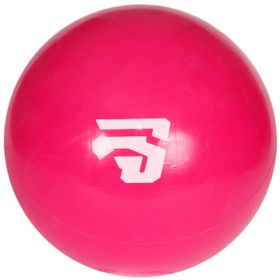 Sportive SPT-2764-NF 25 cm Pembe Gyball Pilates Topu