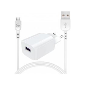Sprange Type-C USB Charger T-30 Şarj Aleti