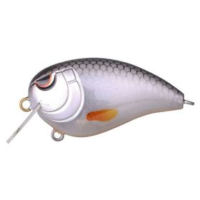Spro Baby Fat John 50 Spooky Roach 5 Pcs Suni Yem