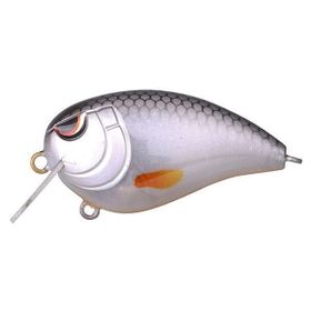 Spro Baby Fat John 50 Spooky Roach 5 Pcs Suni Yem