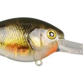 Spro Ikıru CRANK-SL Sfl Yellow Perch Suni Yem