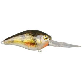 Spro Ikıru CRANK-SL Sfl Yellow Perch Suni Yem