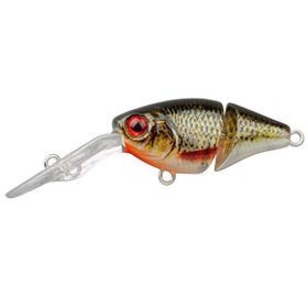 Spro Ikıru JOINT-CRANK35 Roach Suni Yem