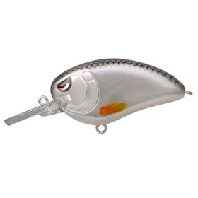 Spro Lj John 50 Md Spooky Roach 5 Pcs Suni Yem