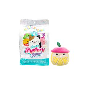 Squishmallows CR03611 13 cm Mystery Squad Sürpriz Figür