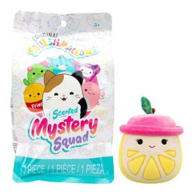 Squishmallows CR03611 13 cm Mystery Squad Sürpriz Figür