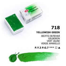 St.Petersburg 1/1 Yellow Green 718 White Nights Tam Tablet Sulu Boya
